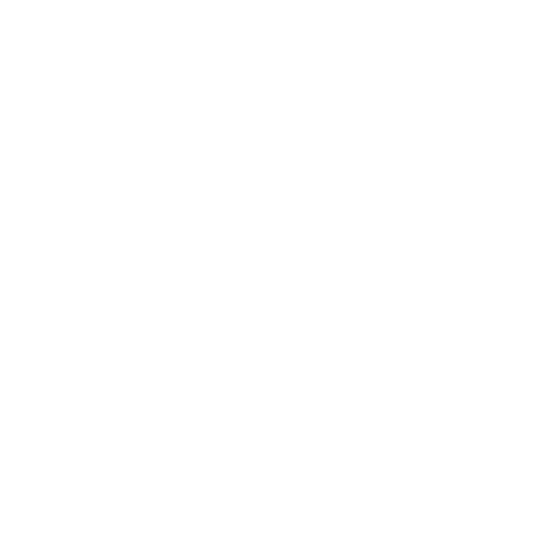 SEMS Singapore Manpower Industry Standards Compliance SEMS Singapore Manpower Industry Standards Compliance