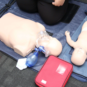 BLS-288